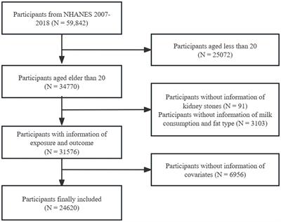 Association between milk consumption and kidney stones in U.S. adults: results from NHANES 2007–2018